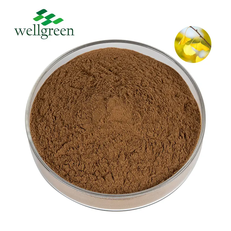 Ginkgo Biloba Leaf Extract Powder.webp